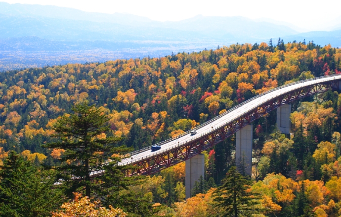 十勝風景