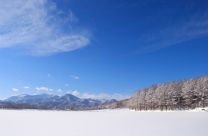 十勝風景